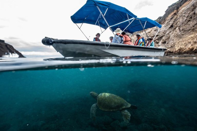 GRATIS la mejor guía de Galápagos Descarga la última guía del 2020